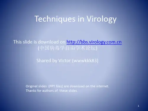 病毒学实验技术Techniques in Virology