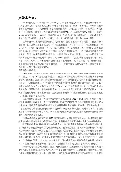 克隆是什么