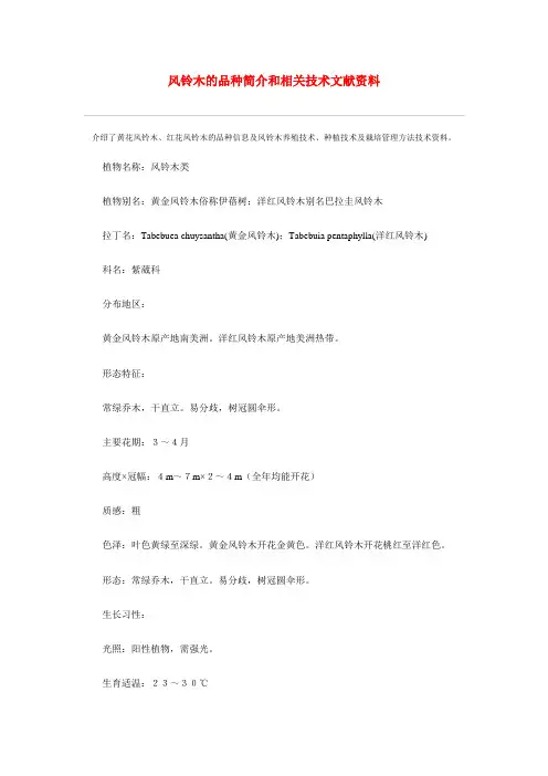 风铃木的品种简介和相关技术文献资料