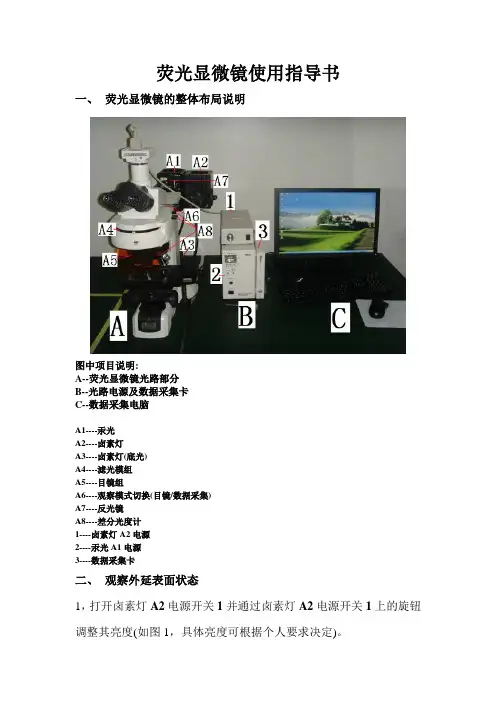 荧光显微镜使用指导书