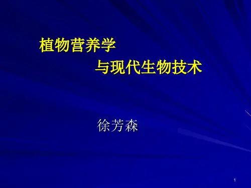 植物营养与分子生物学PPT课件
