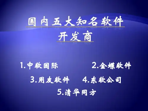 国内五大软件开发商