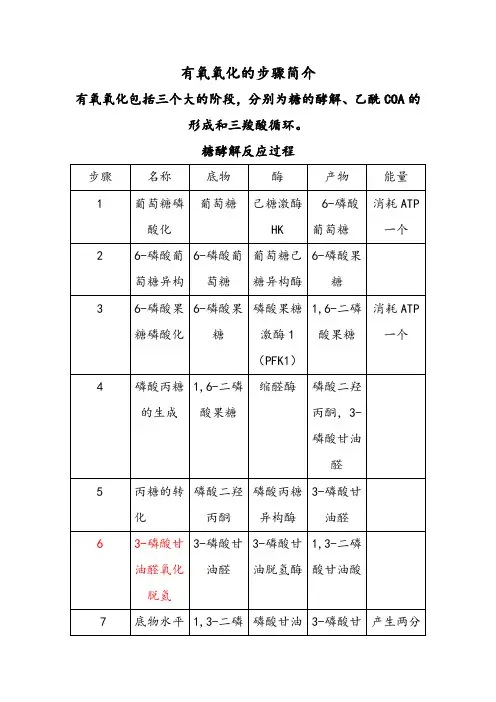 糖酵解反应过程