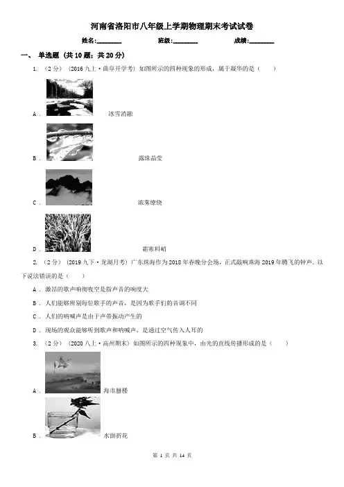 河南省洛阳市八年级上学期物理期末考试试卷