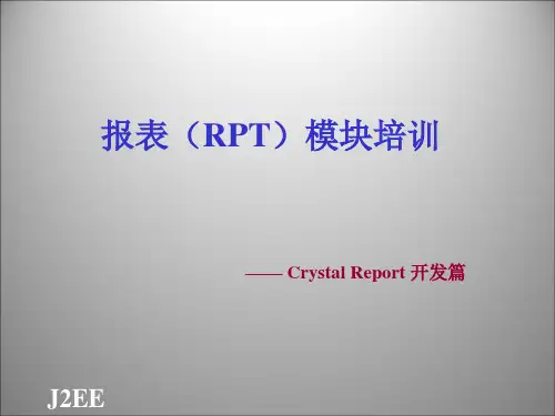 水晶报表培训