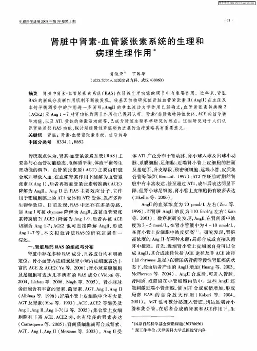 肾脏中肾素-血管紧张素系统的生理和病理生理作用