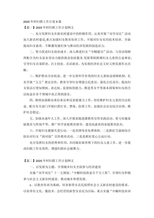 2020年村妇联工作计划3篇