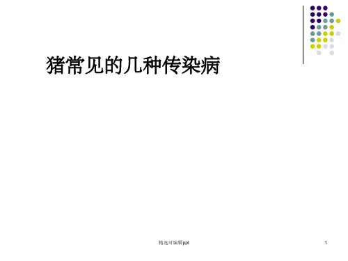 猪常见的几种传染病