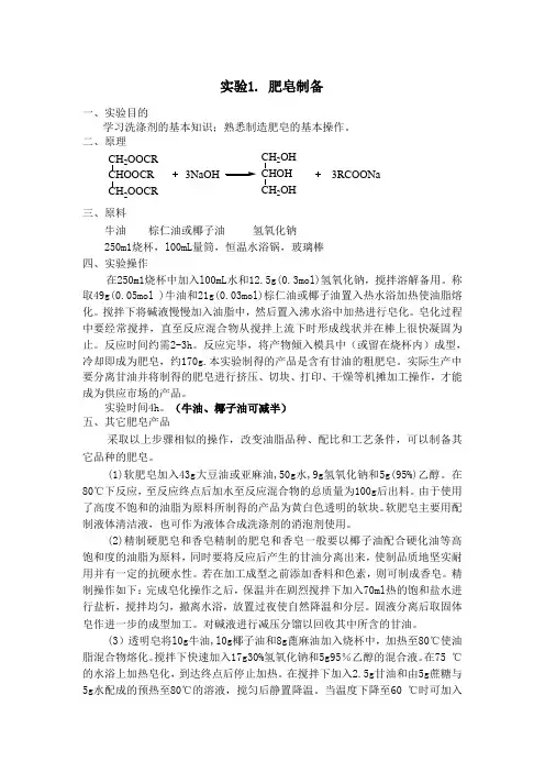 精细化工化装品与洗涤剂课件精细实验内容