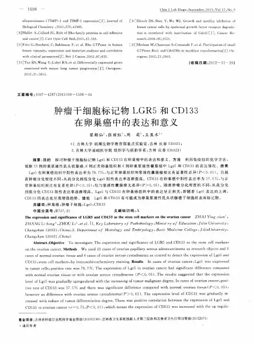 肿瘤干细胞标记物LGR5和CD133在卵巢癌中的表达和意义