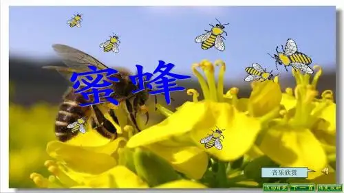 人教版2018三年级语文上册14、蜜蜂(1)ppt课件