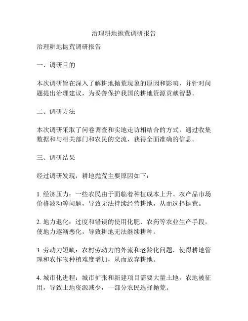 治理耕地抛荒调研报告