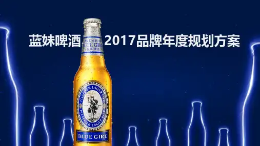 -2017蓝妹啤酒品牌年度规划方案