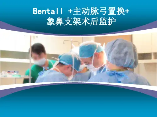 主动脉弓置换象鼻支架术后护理