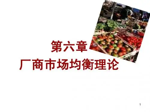 第七讲  完全竞争理论