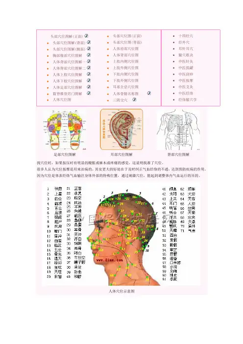 头部穴位图解