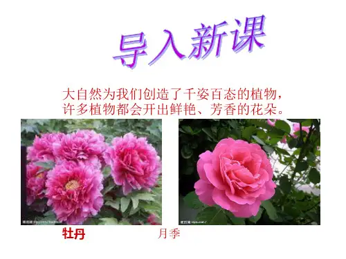 .月季的花药培养ppt