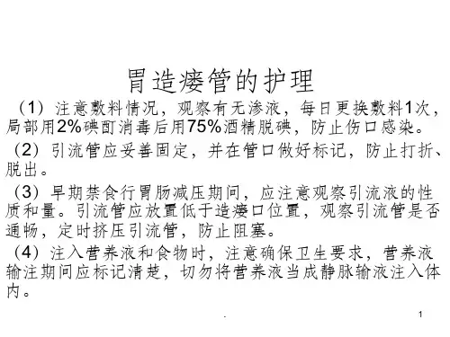 胃造瘘管的护理精选ppt