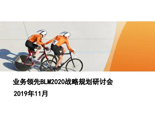 业务领先BLM2020战略规划研讨会(操作版)