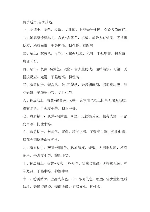 工勘编录范本