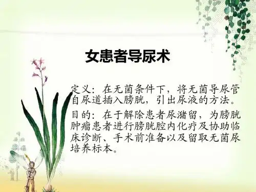 女患者导尿术