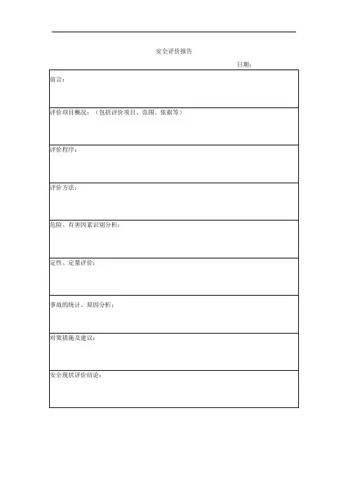 安全评价报告