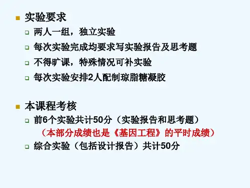 现代生物技术综合实验