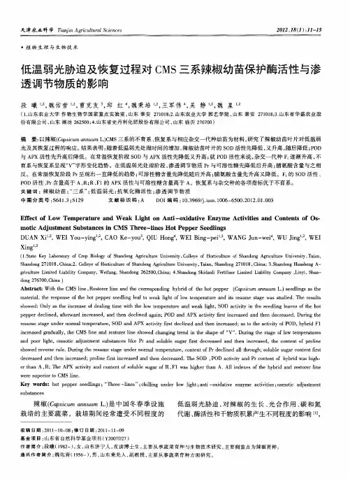 低温弱光胁迫及恢复过程对CMS三系辣椒幼苗保护酶活性与渗透调节物质的影响