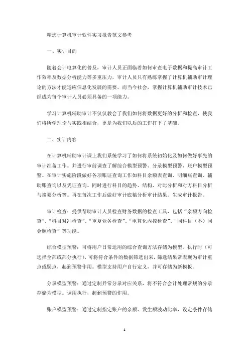 精选计算机审计软件实习报告范文参考
