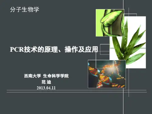PCR技术的原理操作及应用