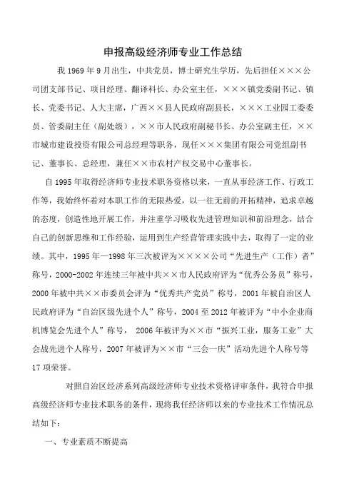 申报高级经济师专业工作总结