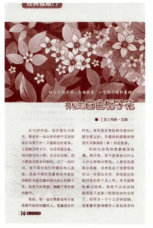 神秘的白色栀子花