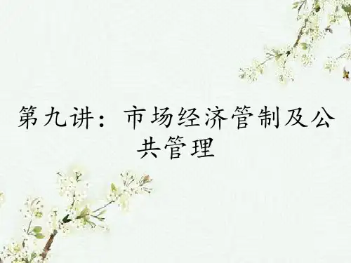 第九讲:市场经济管制及公共管理
