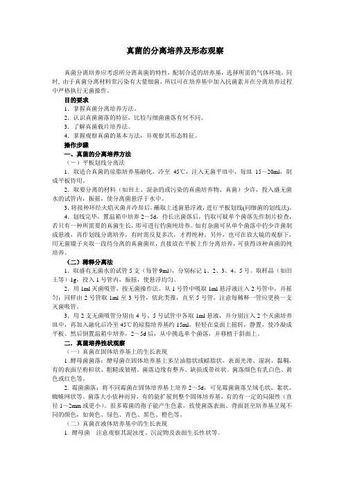 真菌的分离培养及形态观察