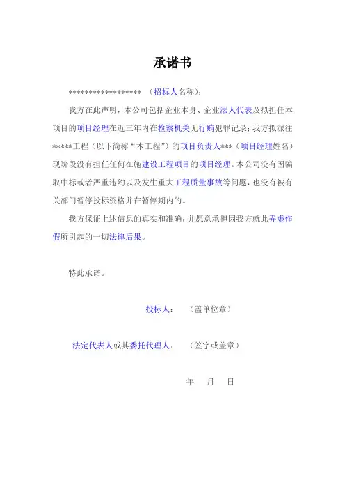 投标人及项目负责人无不良行为承诺书