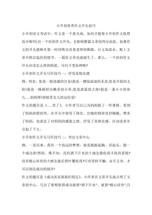 小升初优秀作文开头技巧