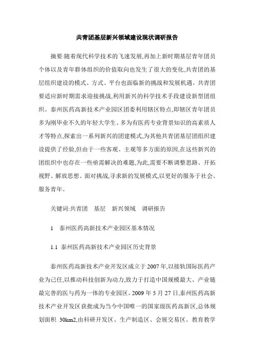 共青团基层新兴领域建设现状调研报告