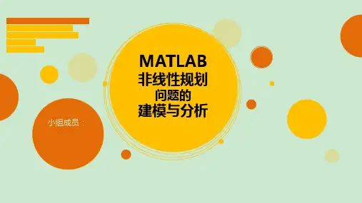 MATLAB非线性规划建模灵敏度分析 ppt课件