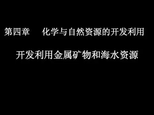 开发利用金属矿物和海水资源1