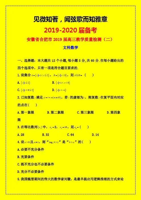 2019年合肥市质检二：安徽省合肥2019届高三教学质量检测(二)数学(文)word-附详细答案