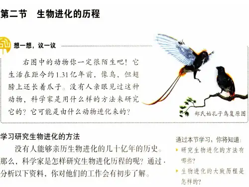 新教材-生物进化的历程-佛山谢永红