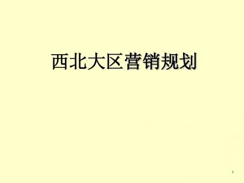 大区营销战略规划