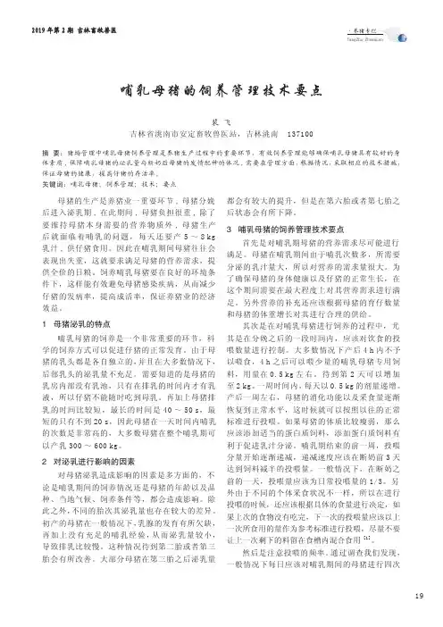 哺乳母猪的饲养管理技术要点