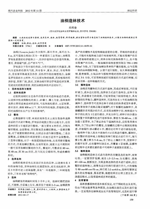 油桐造林技术 2