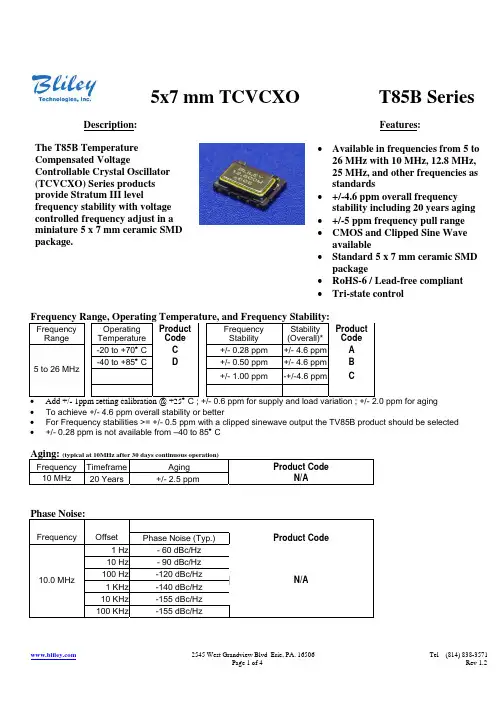 T85BDBDBB中文资料