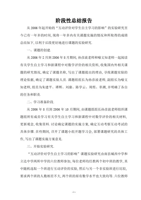 阶段性总结报告