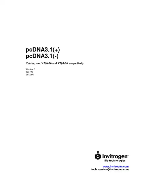 pcDNA3使用说明