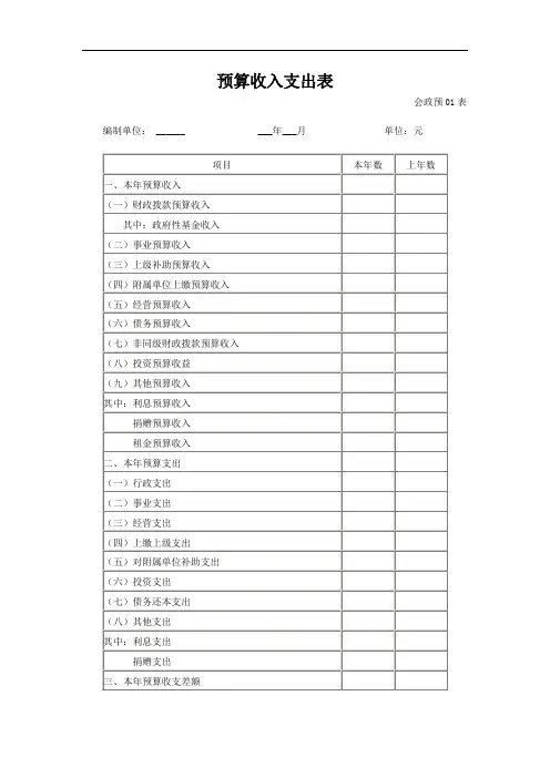 预算收入支出表