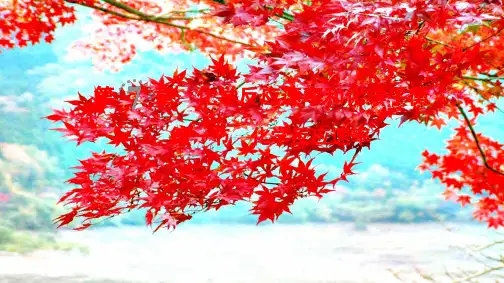 高考化学一轮复习 第7章 化学反应速率和化学平衡 第1节 化学反应速率课件_00002