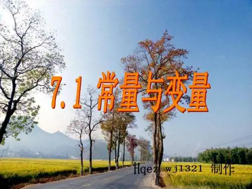 7.1常量与变量